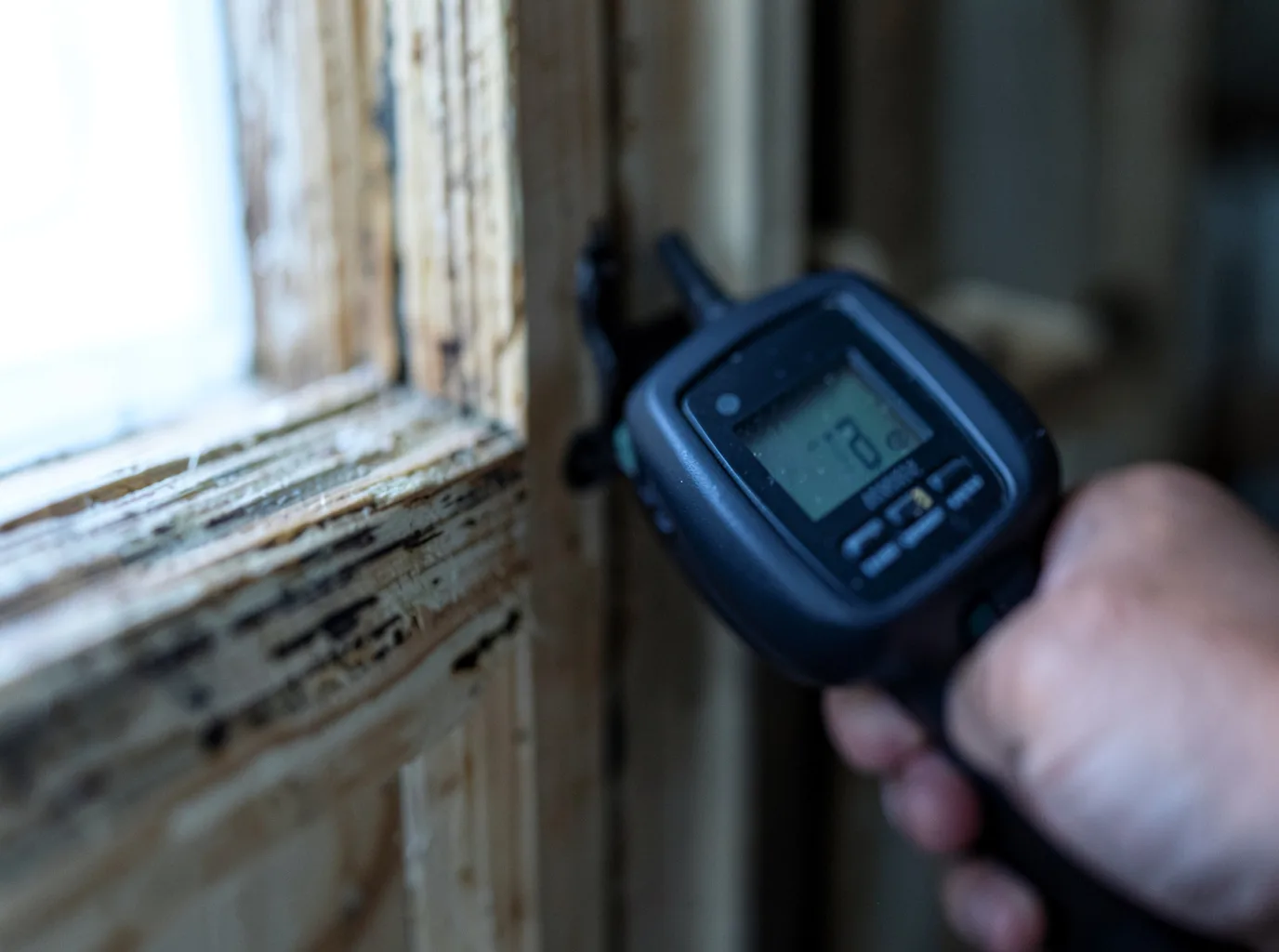 Moisture Inspection And Documentation in Saint Croix Falls, WI